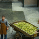 Image for article titled Fassbinder’s The Merchant Of Four Seasons is a fascinatingly uncool early work